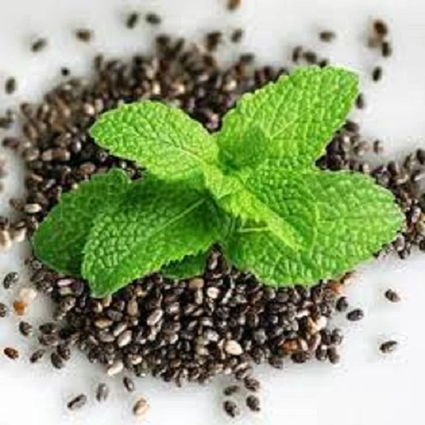 Mint seeds ( 5g )