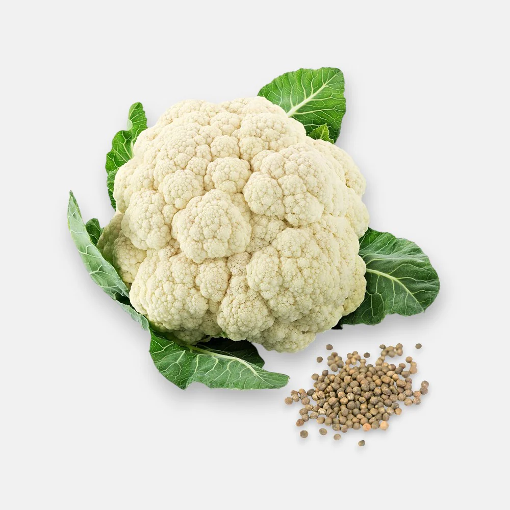 Cauliflower seeds ( 5g )
